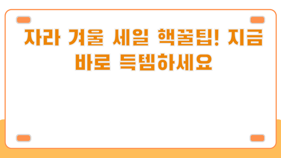 자라 겨울 세일 핵꿀팁! 지금 바로 득템하세요