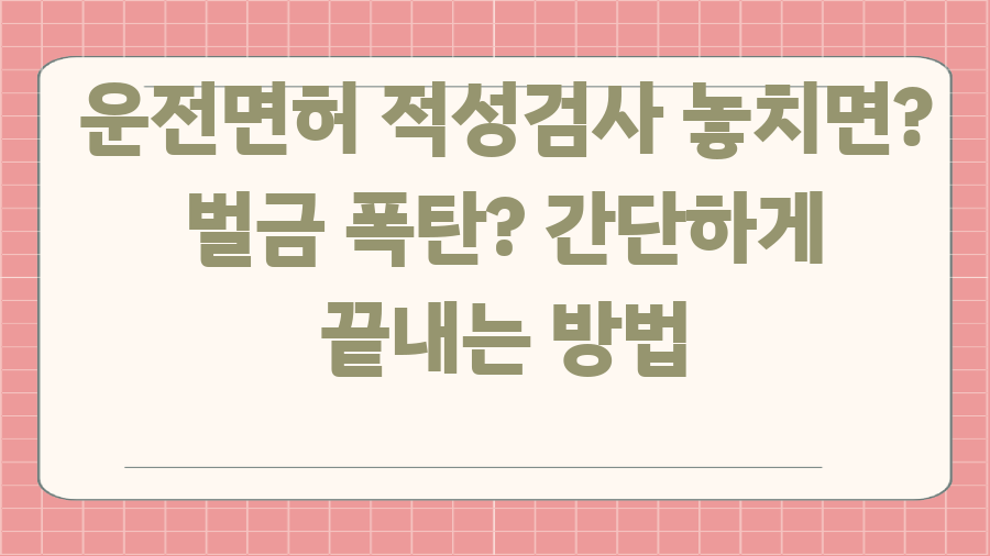 운전면허 적성검사 놓치면? 벌금 폭탄? 간단하게 끝내는 방법
