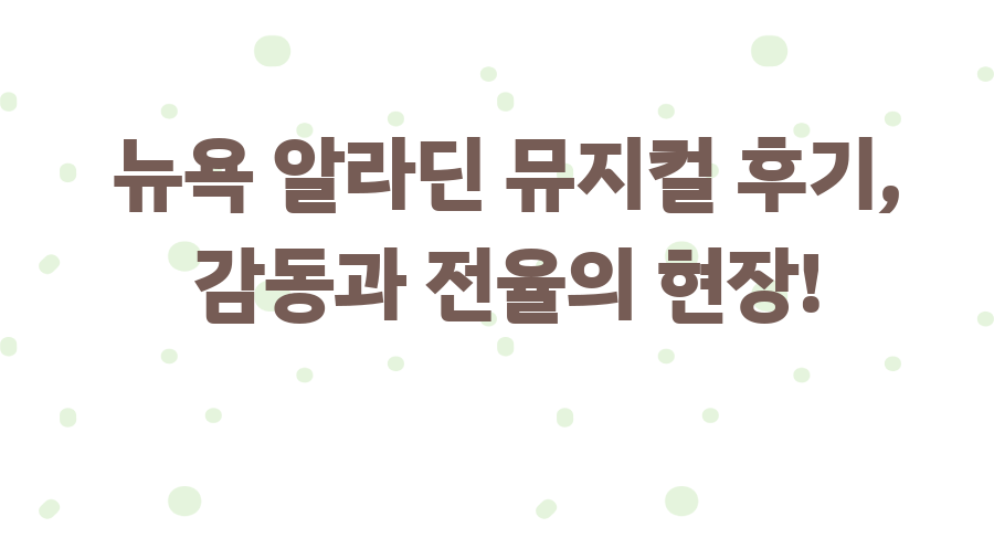 뉴욕 알라딘 뮤지컬 후기, 감동과 전율의 현장!
