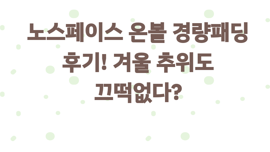 노스페이스 온볼 경량패딩 후기! 겨울 추위도 끄떡없다?
