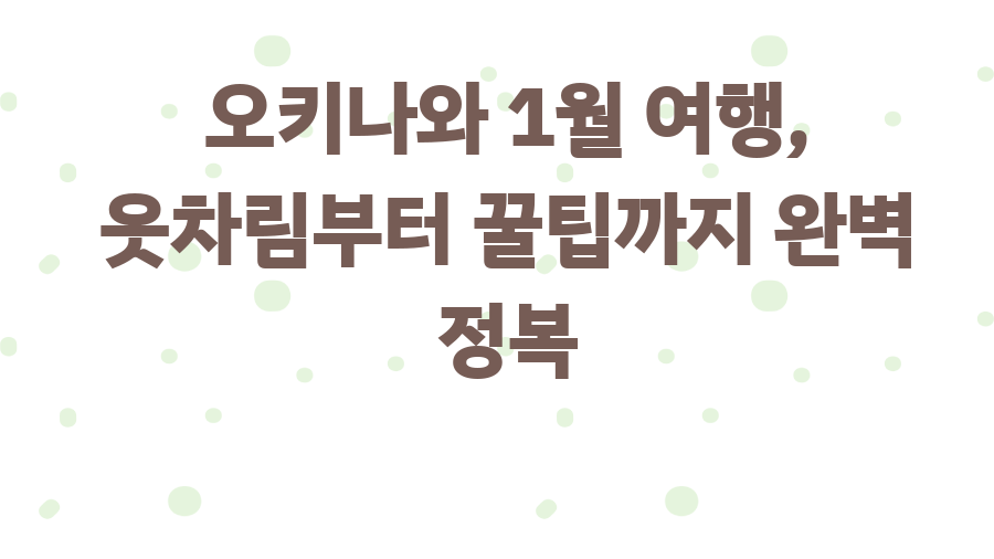 오키나와 1월 여행, 옷차림부터 꿀팁까지 완벽 정복