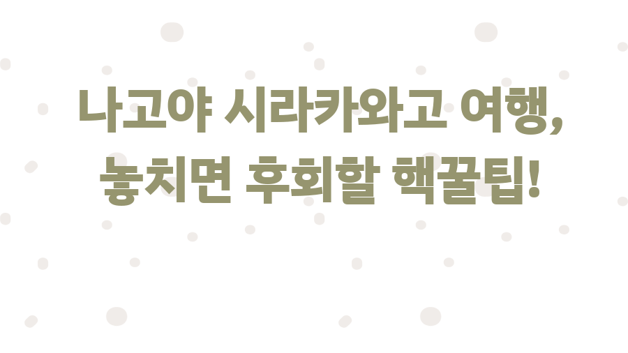 나고야 시라카와고 여행, 놓치면 후회할 핵꿀팁!